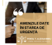 AMENZILE DATE ÎN STAREA DE URGENȚĂ